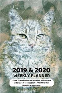 2019 & 2020 Weekly Planner Create a Clear Plan of the Goals You Hope to Gain and the Work You Need to Be Maintain, Then Organize Around Them.