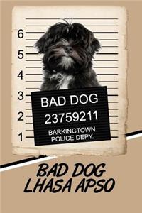 Bad Dog Lhasa Apso