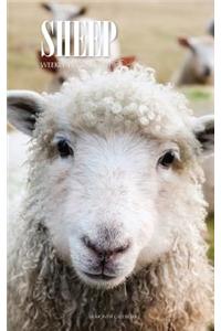 Sheep Weekly Planner 2018