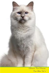 Briman Cat Presents