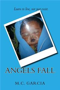 Angels Fall