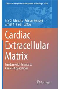 Cardiac Extracellular Matrix