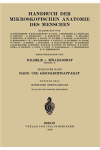 Harn- Und Geschlechtsapparat: Zweiter Teil: Männliche Genitalorgane