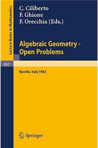 Algebraic Geometry - Open Problems