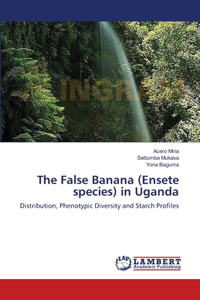 False Banana (Ensete species) in Uganda