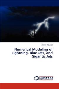 Numerical Modeling of Lightning, Blue Jets, and Gigantic Jets