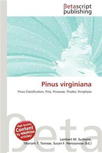 Pinus Virginiana