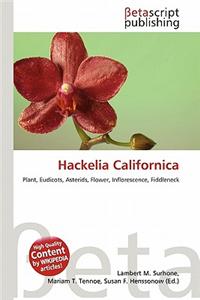 Hackelia Californica