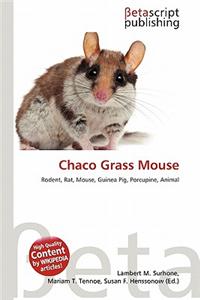 Chaco Grass Mouse