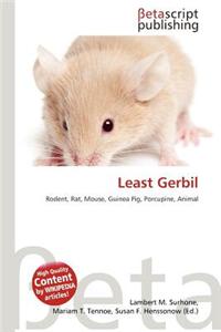 Least Gerbil