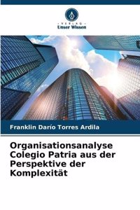 Organisationsanalyse Colegio Patria aus der Perspektive der Komplexität