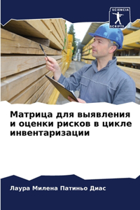 Матрица для выявления и оценки рисков в ци
