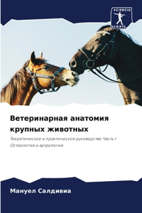 Ветеринарная анатомия крупных животных