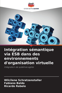 Intégration sémantique via ESB dans des environnements d'organisation virtuelle