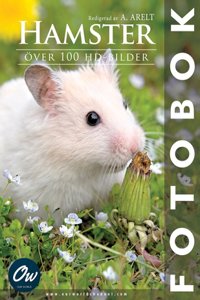 Hamster