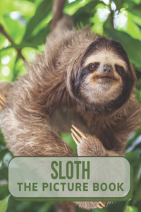 Sloth The Picture Book