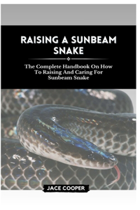 Raising a Sunbeam Snake