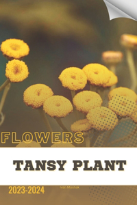 Tansy Plant