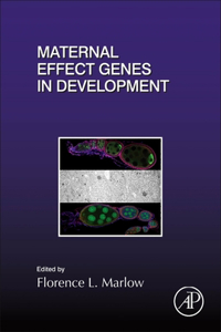 Maternal Effect Genes in Development