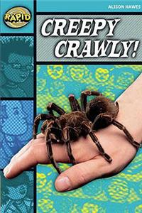 Rapid Stage 3 Set B: Creepy, Crawly Reader Pack of 3 (Series 2)