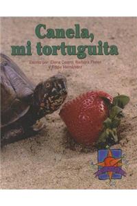 Canela, Mi Tortuguita