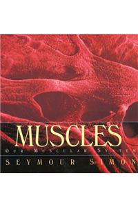 Muscles