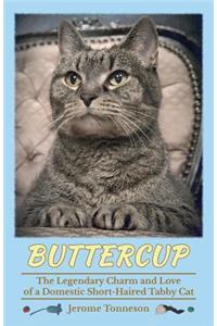 Buttercup - The Legendary Charm and Love of a Domestic Short-Haired Tabby Cat