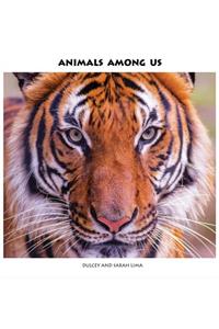 Animals Among Us