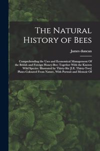 Natural History of Bees