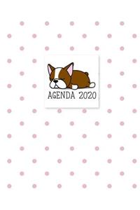 Agenda 2020