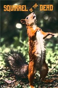 Squirrel of the Dead