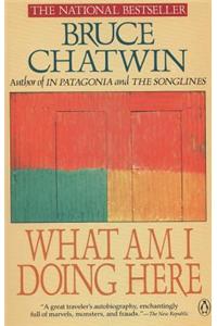 What Am I Doing Here?