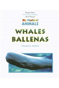 Whales / Ballenas