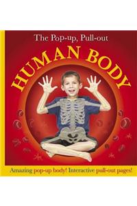 Pop-Up, Pull-Out Human Body