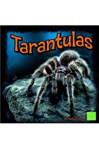 Tarantulas