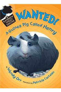Wanted! a Guinea Pig Called Henry