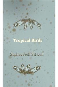 Tropical Birds