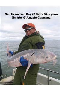 San Francisco Bay And Delta Sturgeon