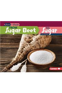 From Sugar Beet to Sugar