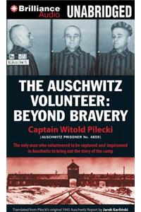 Auschwitz Volunteer