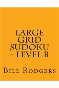 Large Grid Sudoku - Level B