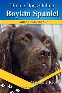 Boykin Spaniels