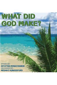 What Did God Make?