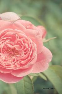 Journal Daily: Pretty Pink Garden Rose, Unique Stylish Lined Blank Journal Book, 6 X 9, 200 Pages, Daily Journal Notebook