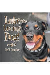 Luke the Loving Dog!