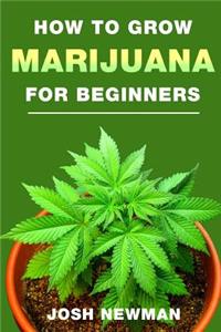 How to Grow Marijuana