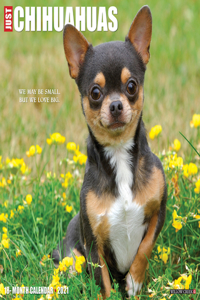 Just Chihuahuas 2021 Wall Calendar (Dog Breed Calendar)