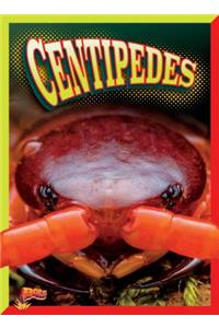 Centipedes