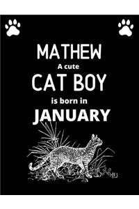 MATHEW a cute cat boy is born in January