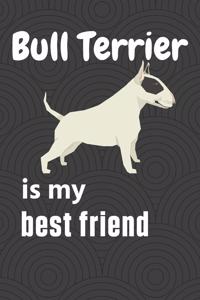 Bull Terrier is my best friend